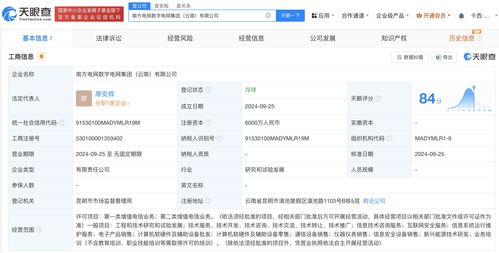 南方電網數字電網集團云南公司正式成立，注冊資本達6000萬元